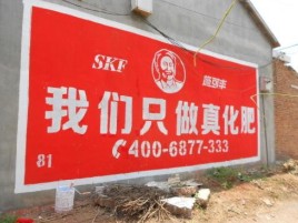 宁南刷墙广告”蕴含了时代命题