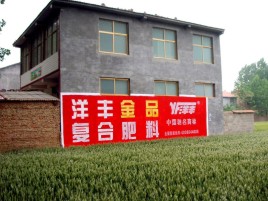 宁南如何让墙体广告展现最大化效果