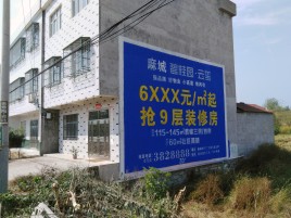 宁南墙体广告质量分析