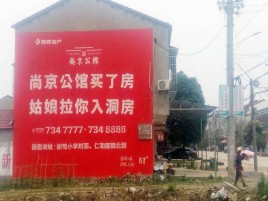 宁南墙体广告在乡镇、农村市场的媒体优势