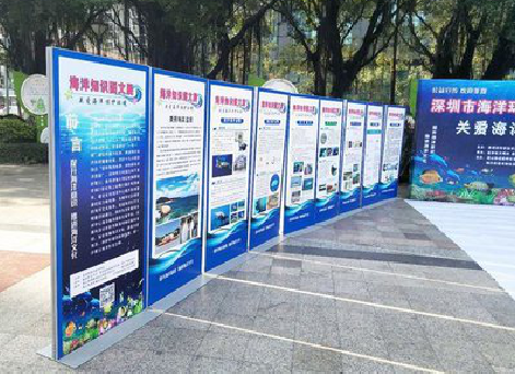 宁南KT板的种类和知识。